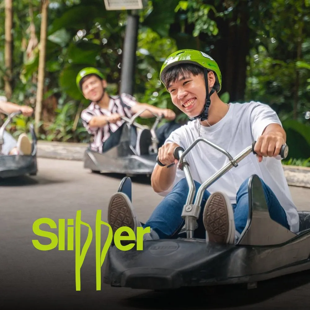Slipper