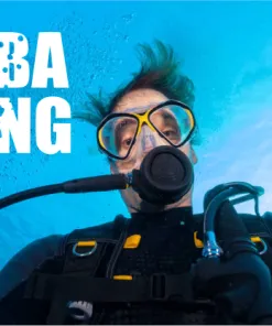 Scuba Diving - Image 3