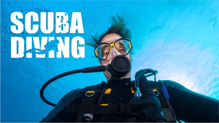 Scuba Diving - Image 3