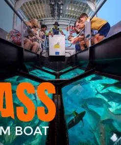 Glass Bottom Boat - Image 3