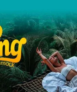 King Hammock - Image 3