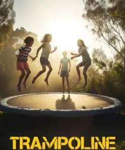 Round multicolor Trampoline with safety net & roof 8-10-12-14-16 feet - Image 2