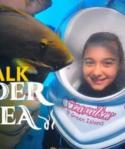 Walk Under the Sea - Image 3