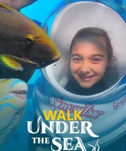 Walk Under the Sea - Image 2