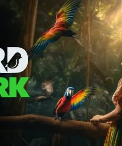 Bird Park - Image 3