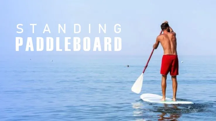 Paddle Board - Image 2