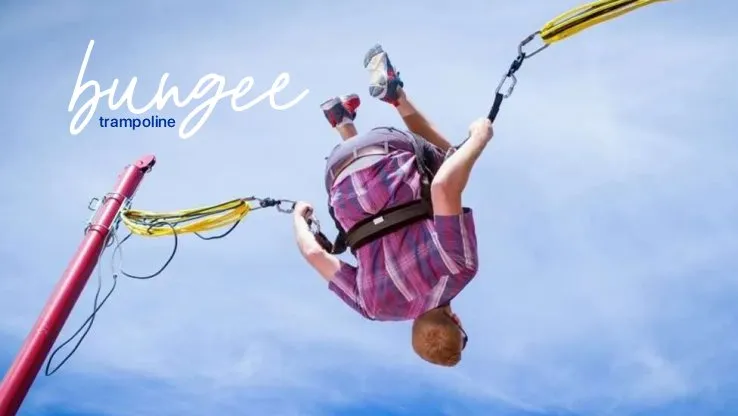 Bungee Trampoline - Image 3
