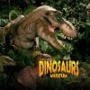 Dinosaur Museum