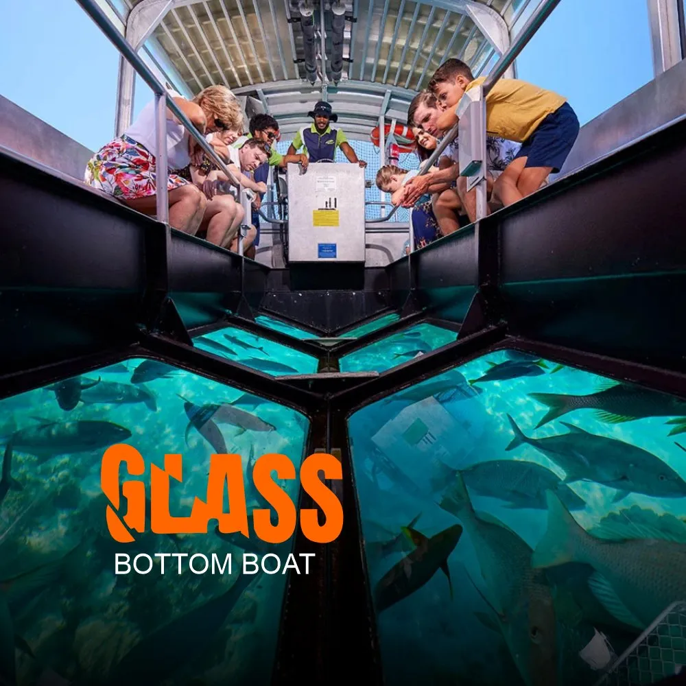 Glass Bottom Boat