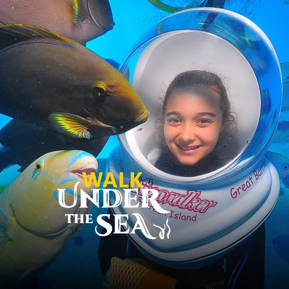 Walk Under the Sea