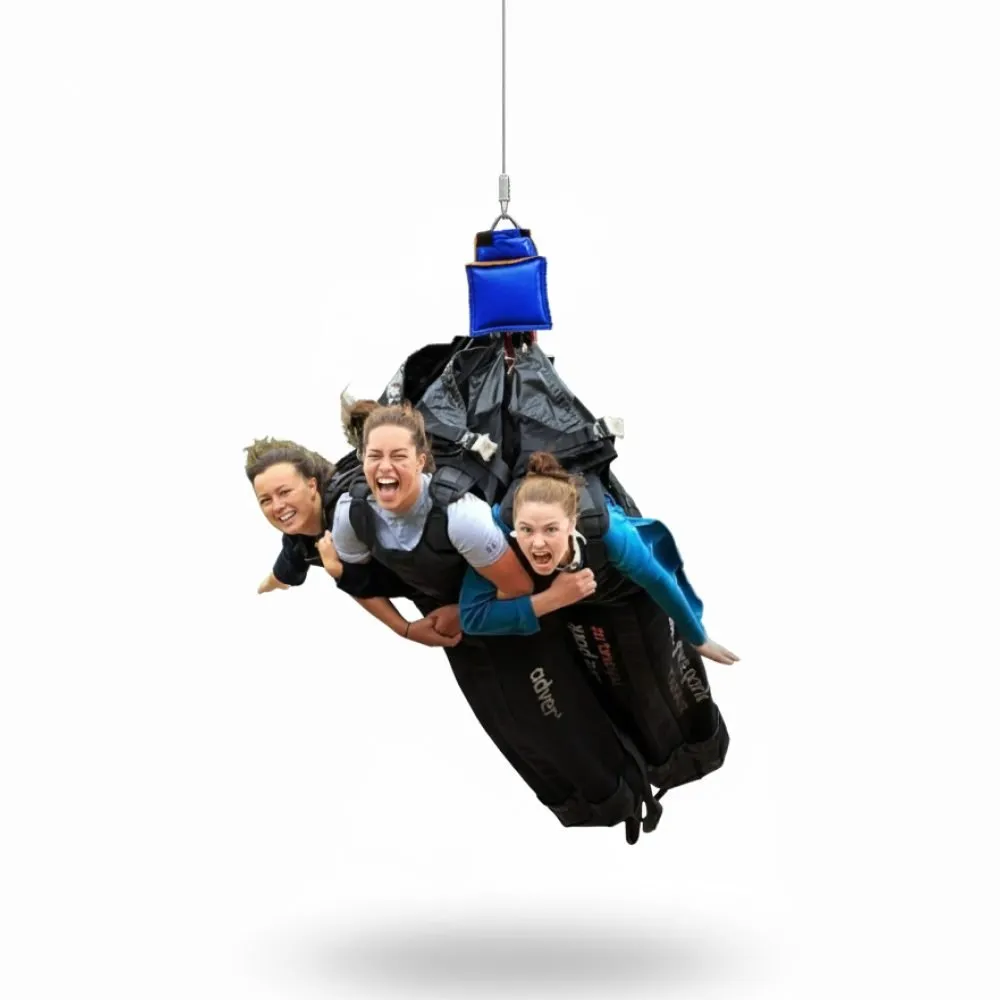 Swoop Swing