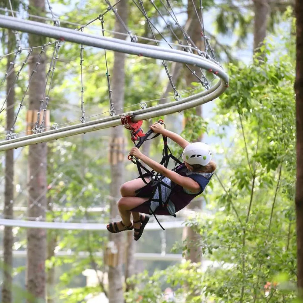 Zip Coaster