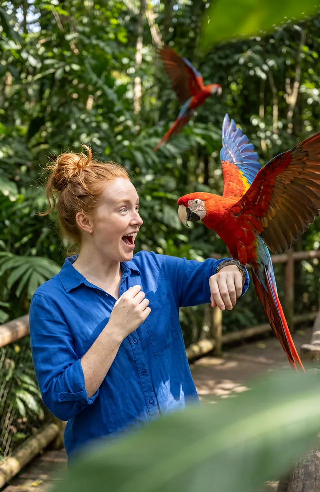 Bird park