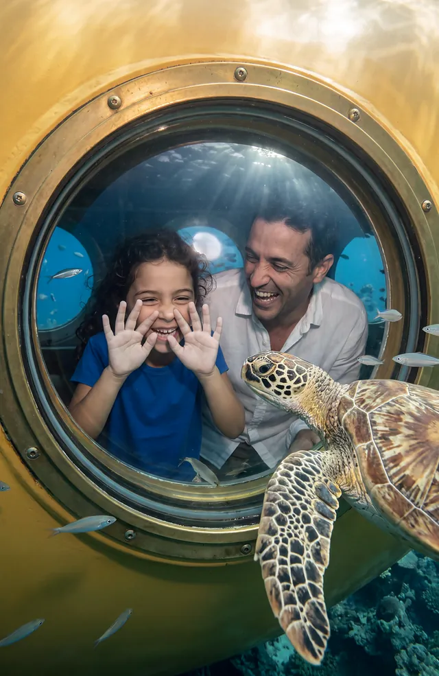 Submarine tour